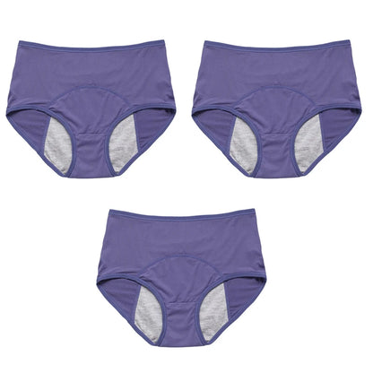 Calcinha Absorvente à Prova de Vazamento Período Fisiológico