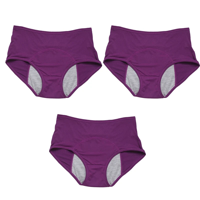 Calcinha Absorvente à Prova de Vazamento Período Fisiológico